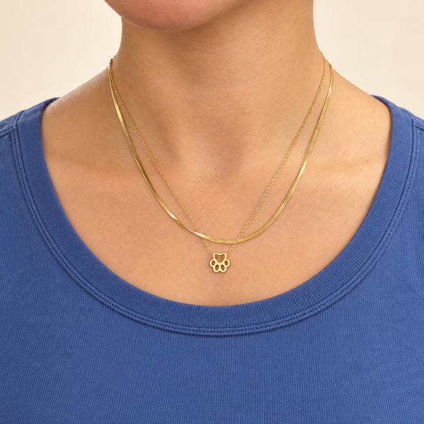 Paw Print Birthstone Necklace – Personalized Pet Memorial Gift